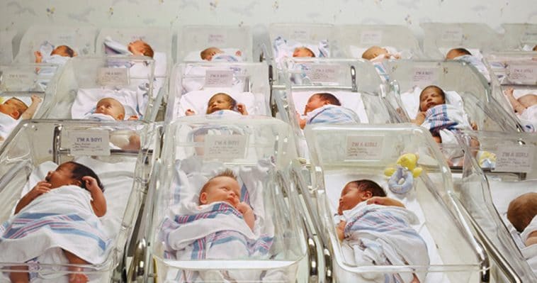 Babies in ward