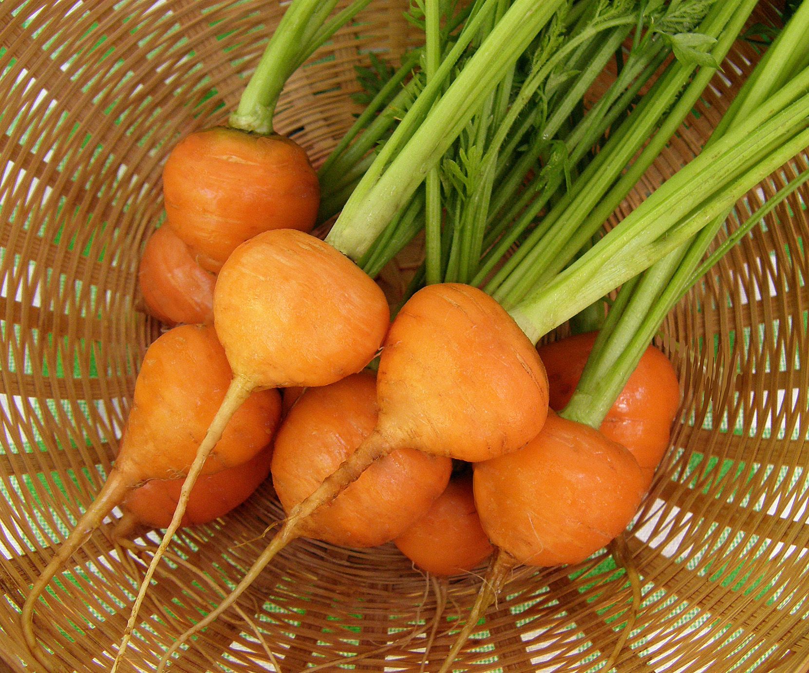 ball-carrots-img8897