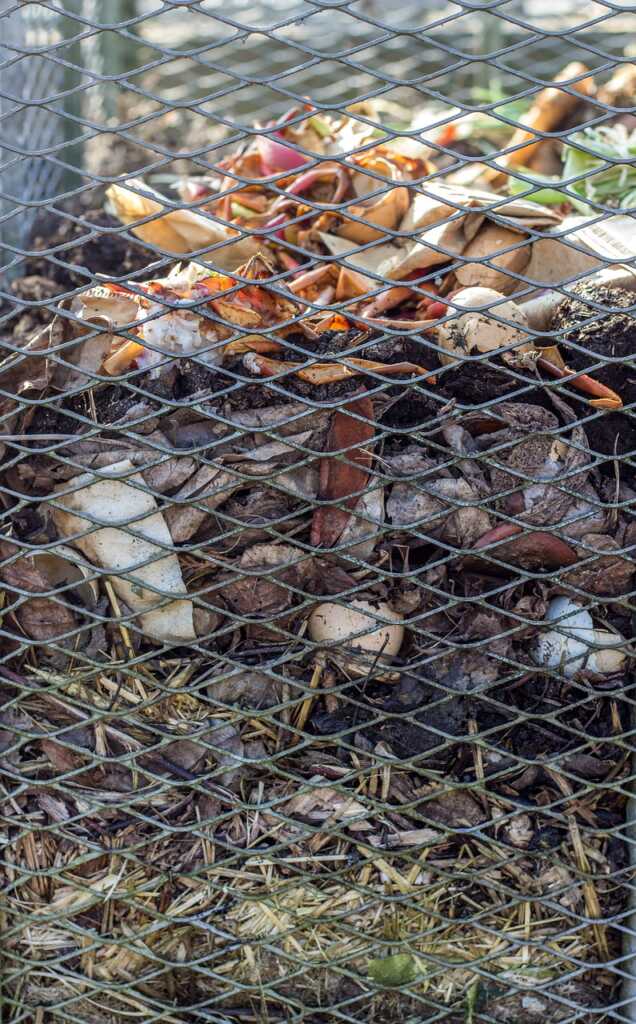 Best Compost Bin Choices