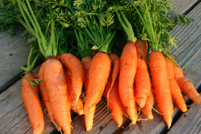 danver-carrots