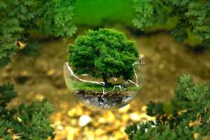 how can resource conservation benefit the environment