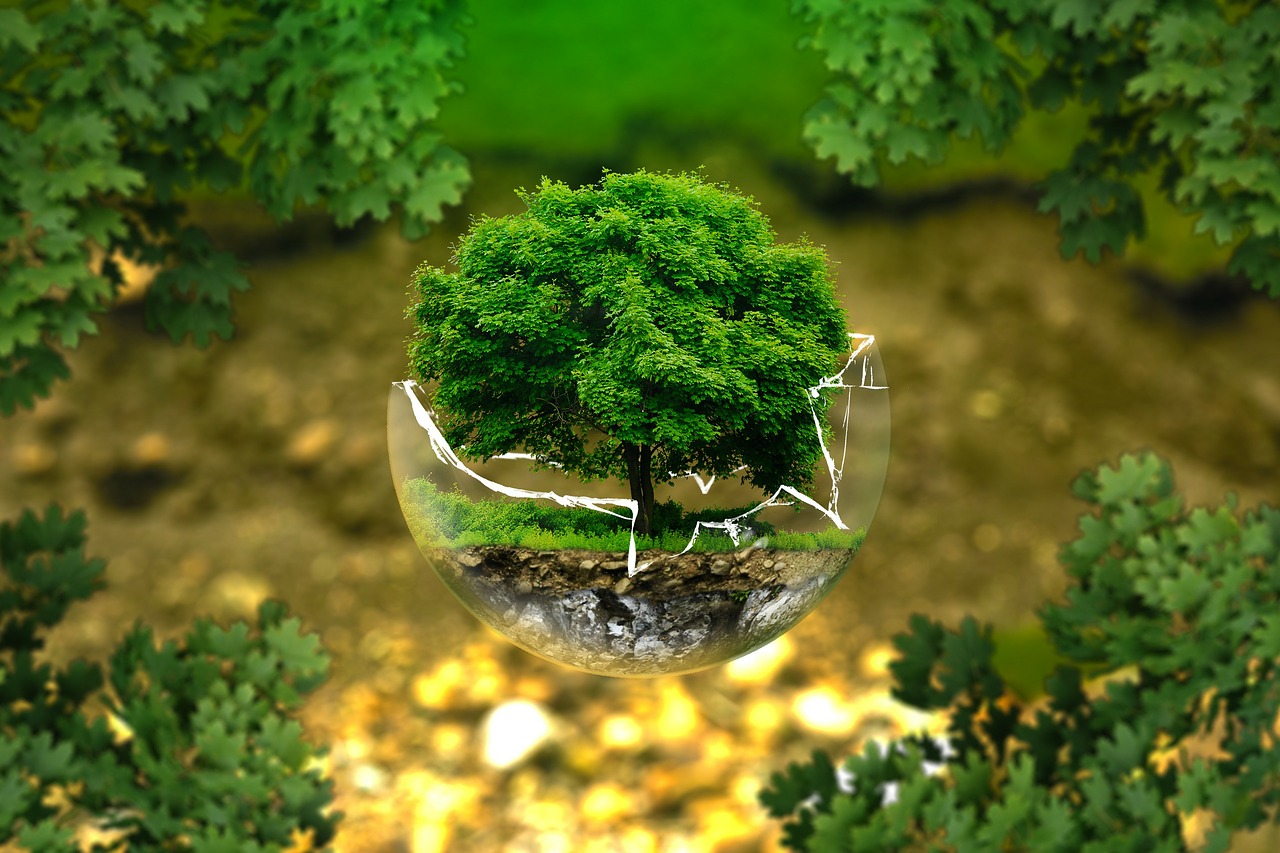 how can resource conservation benefit the environment
