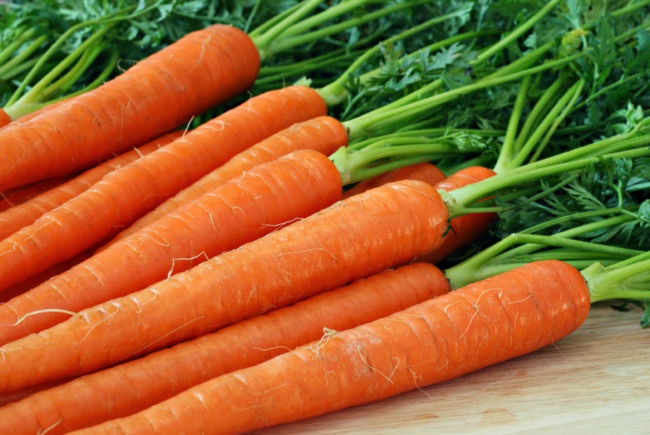 Imperator carrot family