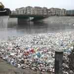 plastic debris lining the coast