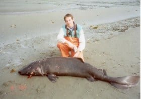 beached pacific sleeper shark