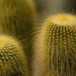 pexels-photo-869117
