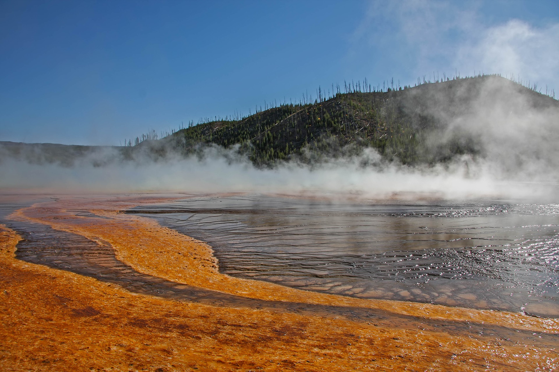 waters nature steam