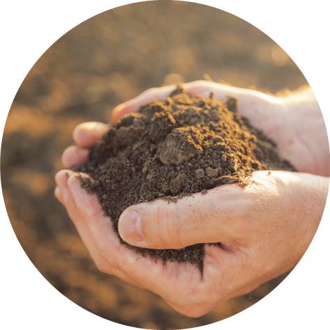 soil