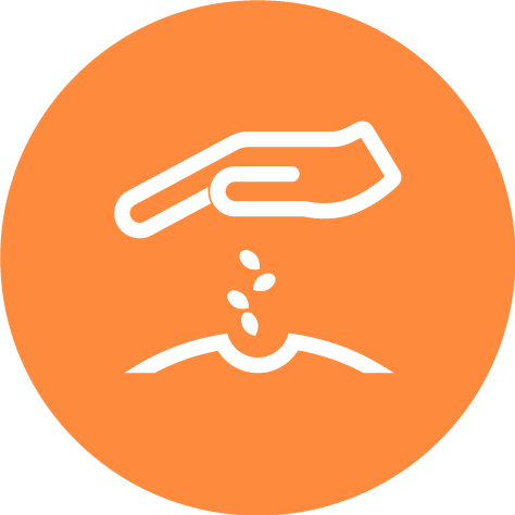 sow seeds icon